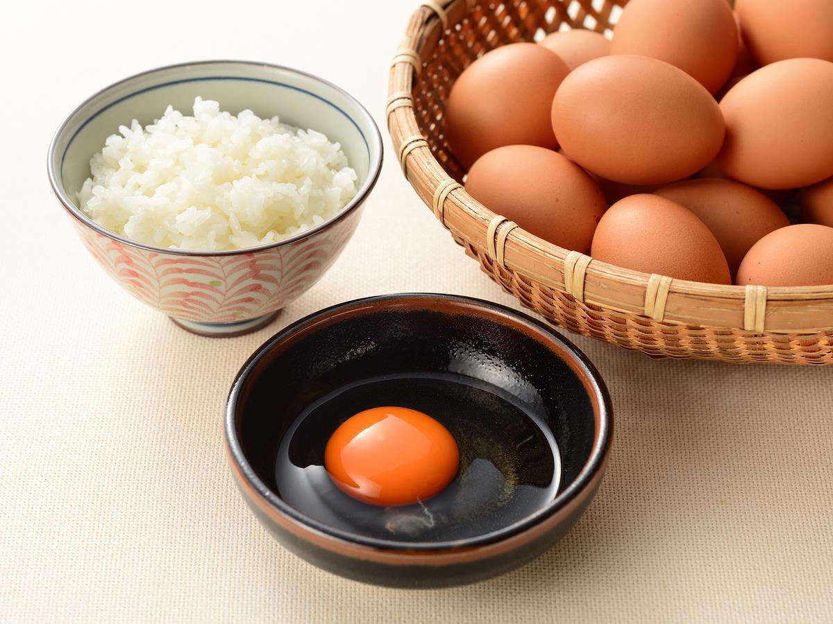 니가타 토에이 호텔 외부 사진